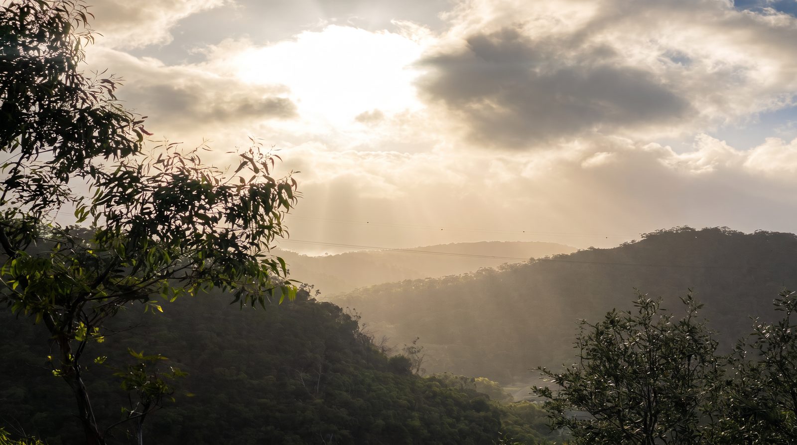 Morning mist across the hills