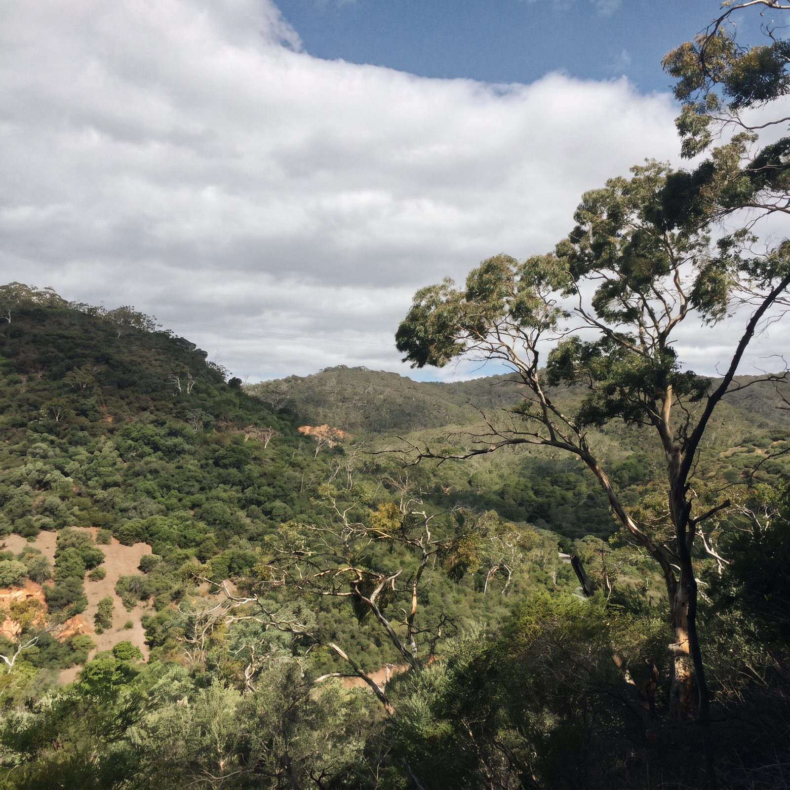 Wide cloudy view across a wooded Adelaide Hills valley